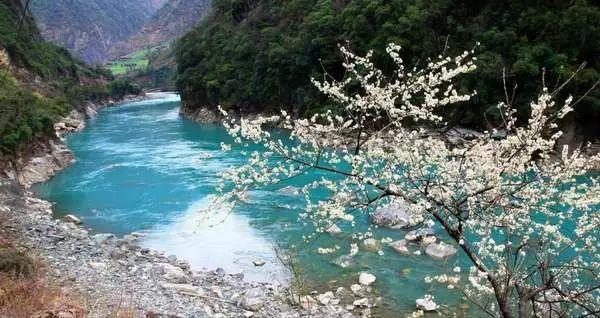 外卖后厨直播问题曝光 平台和多数商户有整改