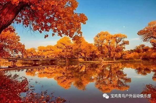 韭菜馅饺子如何做，才能使韭菜更鲜更翠绿？游戏画面