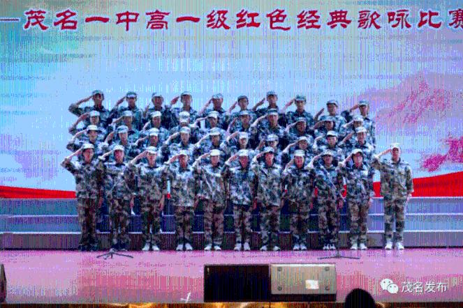 白孔雀救援